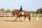 SBM_009056