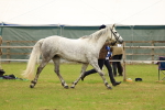 SBM_04302