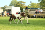 SBM_66574