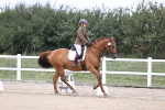 SBM_017416