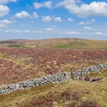 Dartmoor
