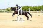 SBM_007442