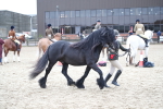 SBM_007253