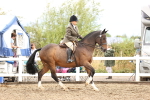 SBM_00375