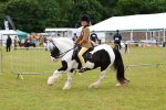 SBM_02636