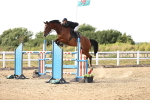 SBM_004711