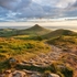 Roseberry