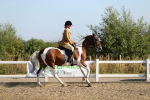 SBM_01268