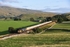 JL - 27.8.21 66724 6S00 Clitheroe - Carlisle, Bull Gill