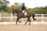 SBM_008645