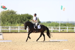 SBM_010220