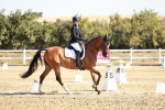 SBM_016932
