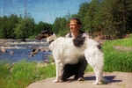 Athos in Langinkoski 2020 1