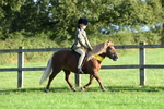 SBM_56401