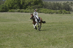 BVHT 140517  IXC -704