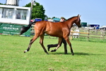 SBM_01090