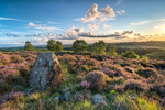 Summer Sunset At Black Coppice