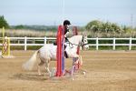 SBM_006397