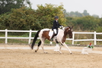 SBM_01665