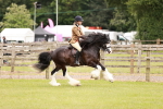 SBM_06191