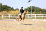 SBM_012233