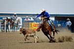 3HRodeo8-11-25_PRCASteer_06452_