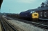 14th April 1991