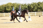 SBM_009812