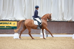 SBM_002340