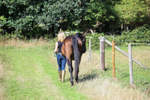 3. Charlotte portfolio
