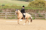 SBM_001485
