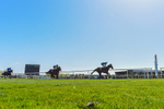 220426-Race 3-Cranachan-0671