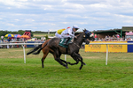 220726-Race 3-Wise Crack-9601