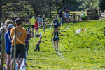 The Finish-1767