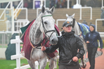 141125-Race 2-Numitor-9358