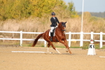 SBM_009335