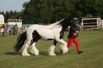 SBM_10568
