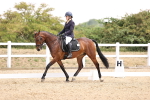 SBM_007422