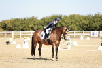 SBM_017341