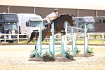 SBM_001163