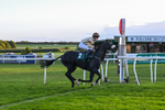 300926-Race 8-Jojo Rabbit-7204