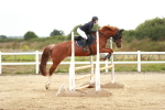 SBM_005003