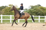 SBM_003202