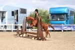 SBM_15208