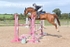BPP_3779