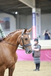 SBM_03384