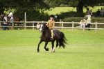 SBM_71559