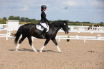 SBM_04165