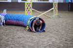 SBM_004786