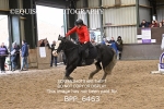 BPP_6463